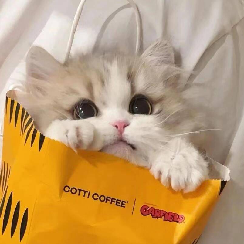 筱筱