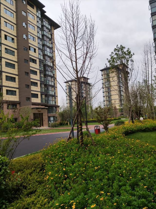 Kunming-Panlong-拎包入住,全套家具家电,押一付一,可短租,房东直租,Cozy Home,Clean&Comfy,No Gender Limit,Hustle & Bustle