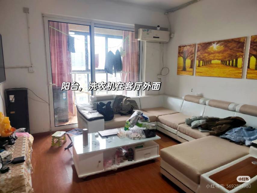 Ningbo-Zhenhai-Clean&Comfy,No Gender Limit,Pet Friendly