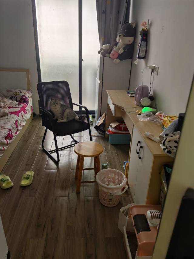 Xiamen-Siming-干净安静,Cozy Home,Clean&Comfy,“Friends”