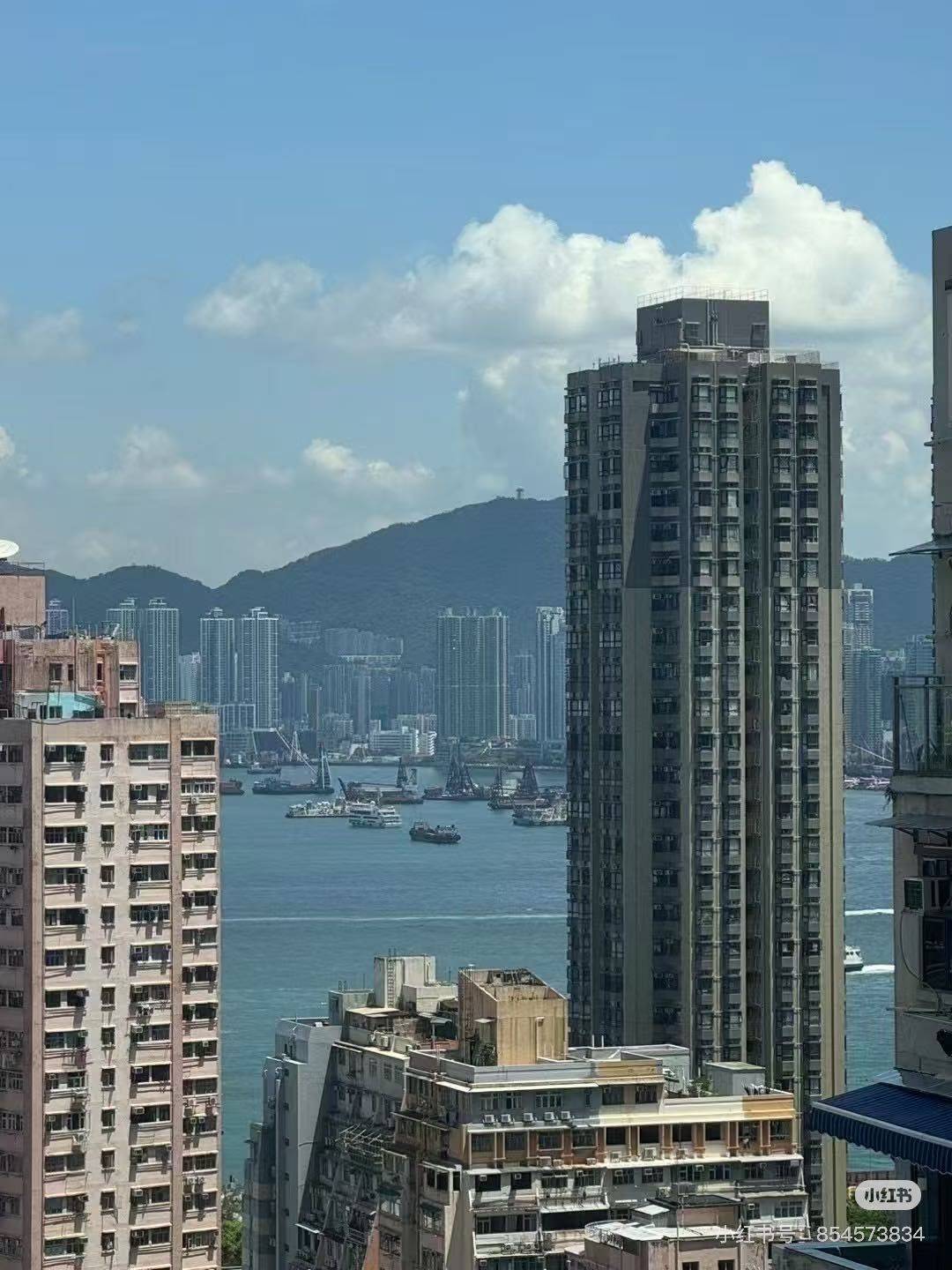 Hong Kong-Hong Kong Island-Cozy Home,Clean&Comfy,No Gender Limit,Chilled