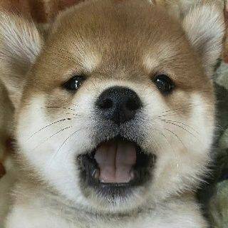 招个室友