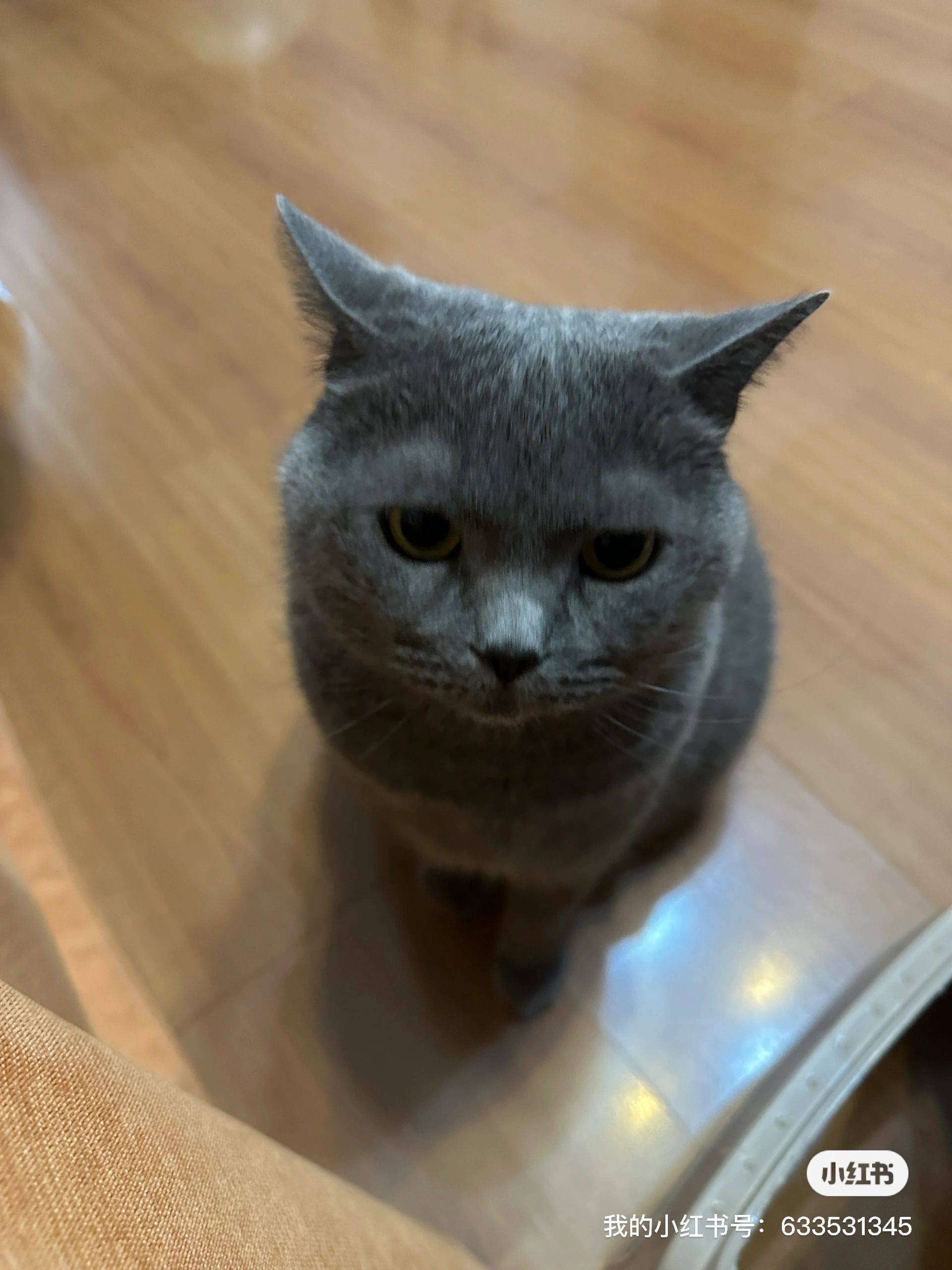 佳