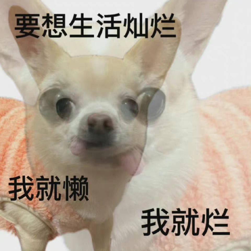 懒懒