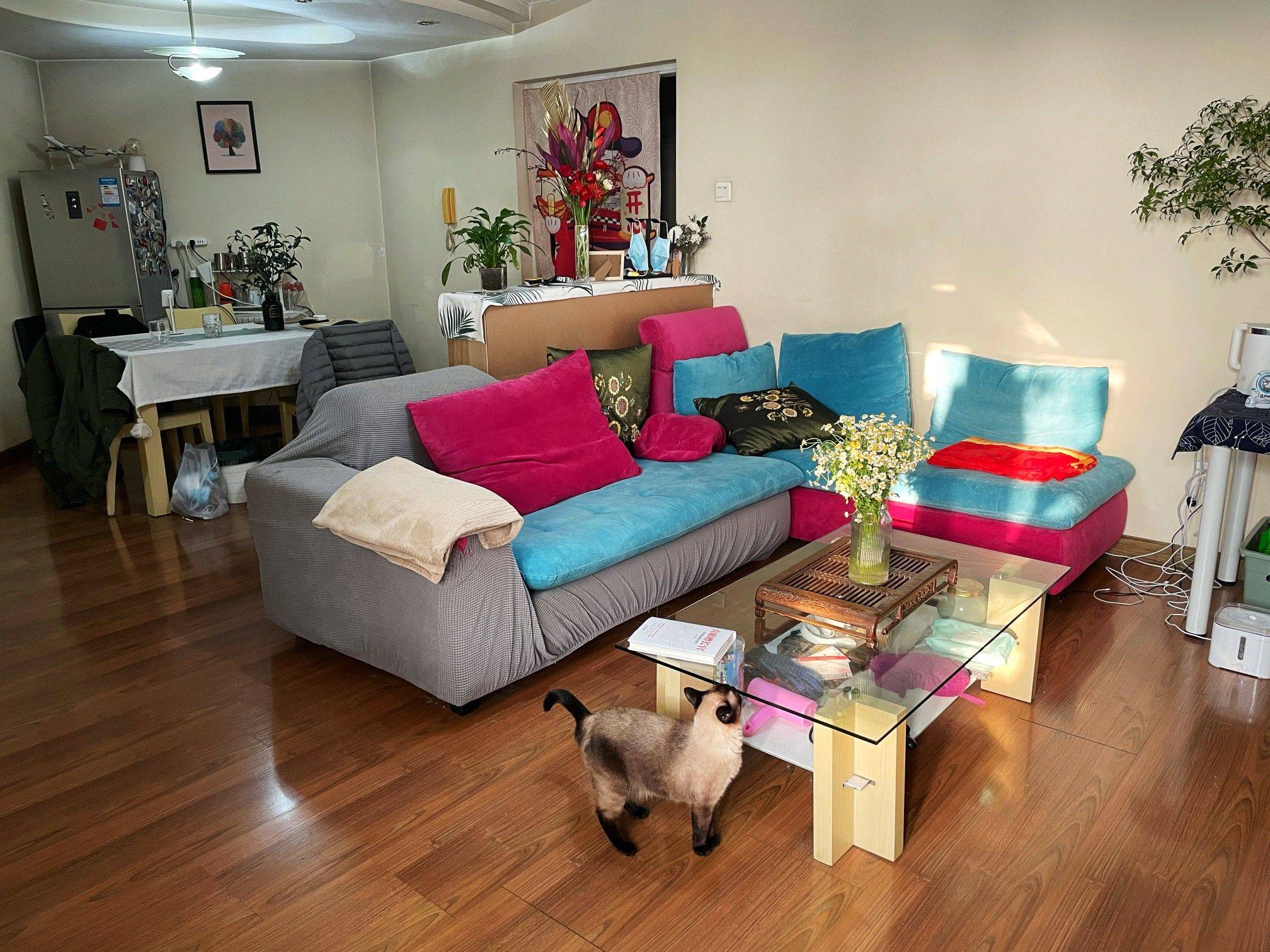 Beijing-Chaoyang-Cozy Home,Clean&Comfy,No Gender Limit
