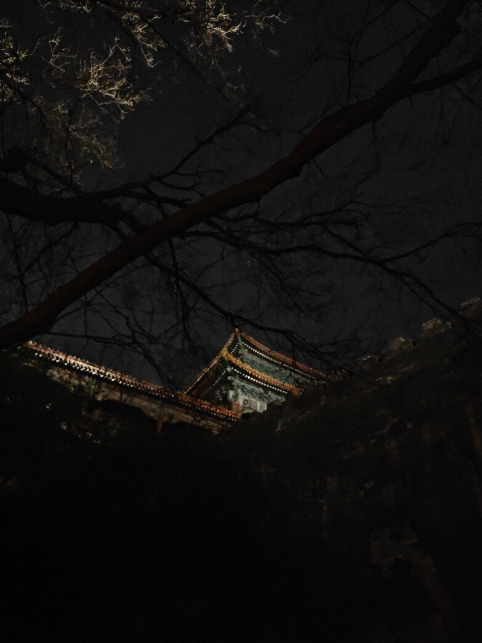 life_photo_1