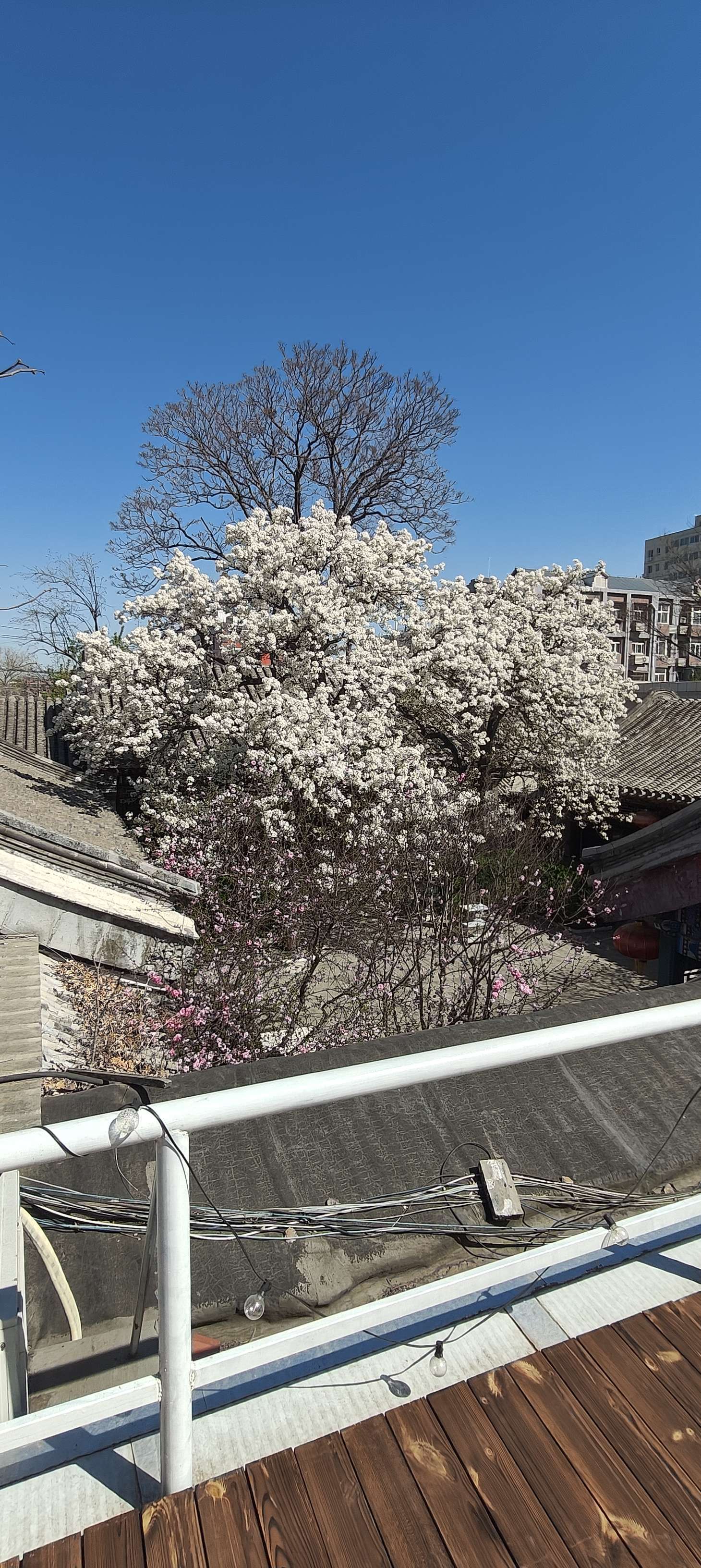 life_photo_0