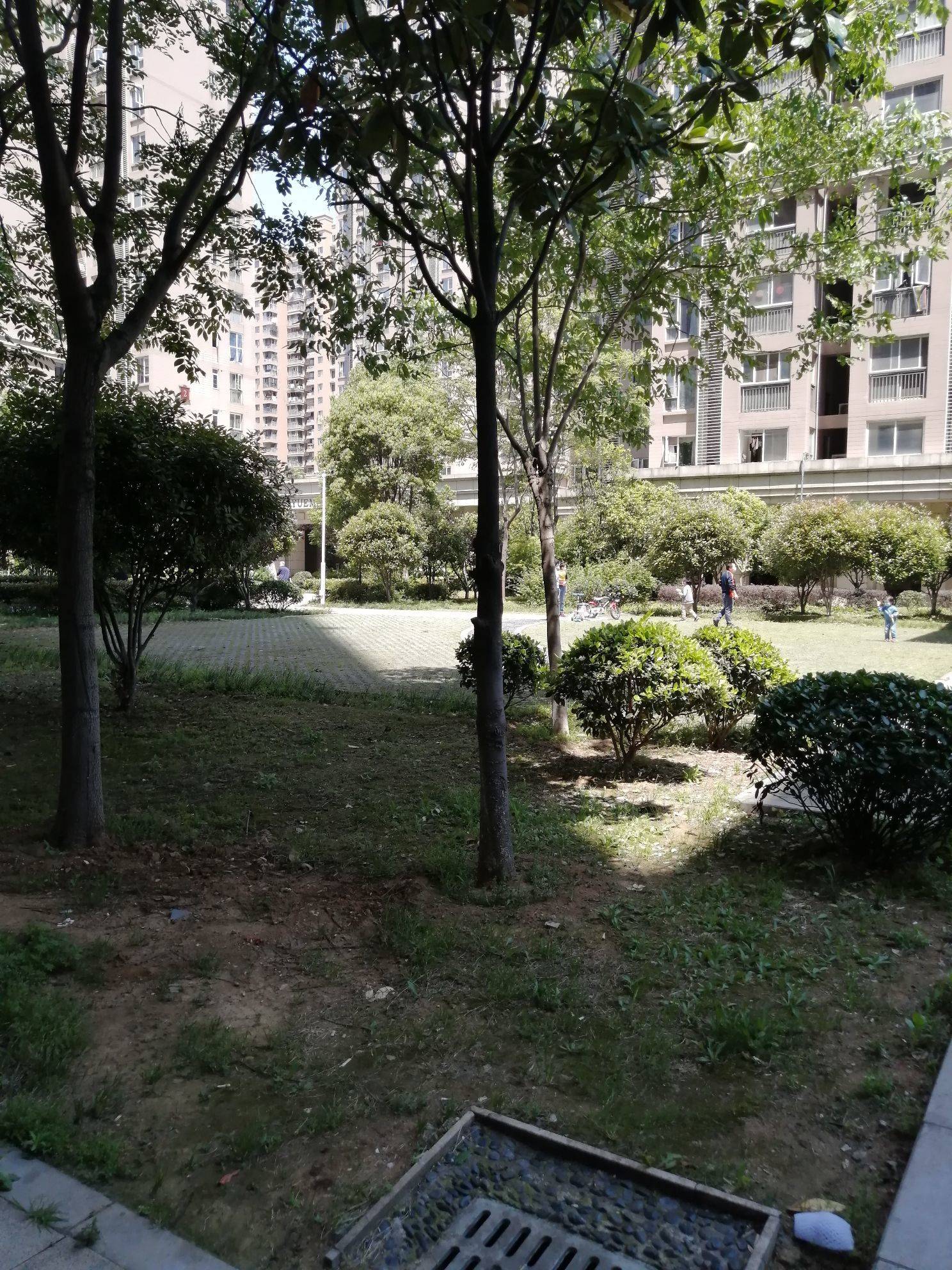 Wuhan-Hongshan-Cozy Home,No Gender Limit,Hustle & Bustle,“Friends”,Chilled