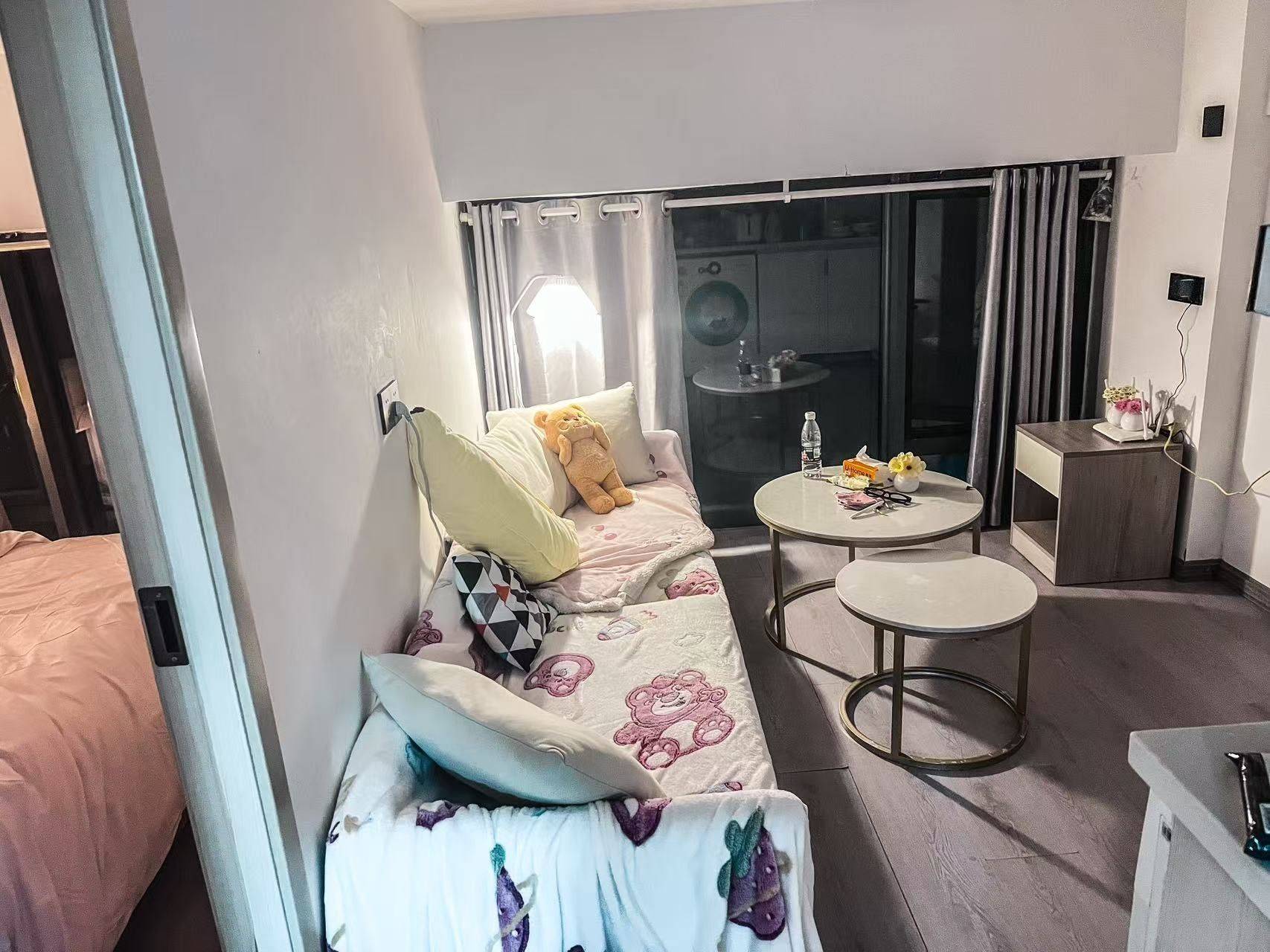 Wuhan-Hongshan-Cozy Home,Clean&Comfy,No Gender Limit,Hustle & Bustle,“Friends”,Pet Friendly