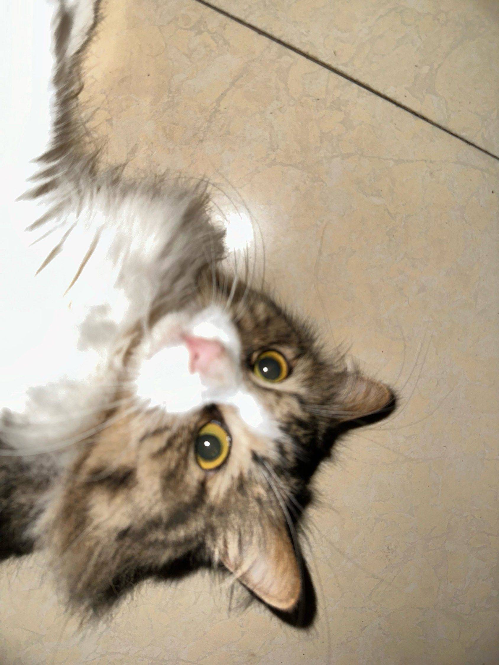 1.