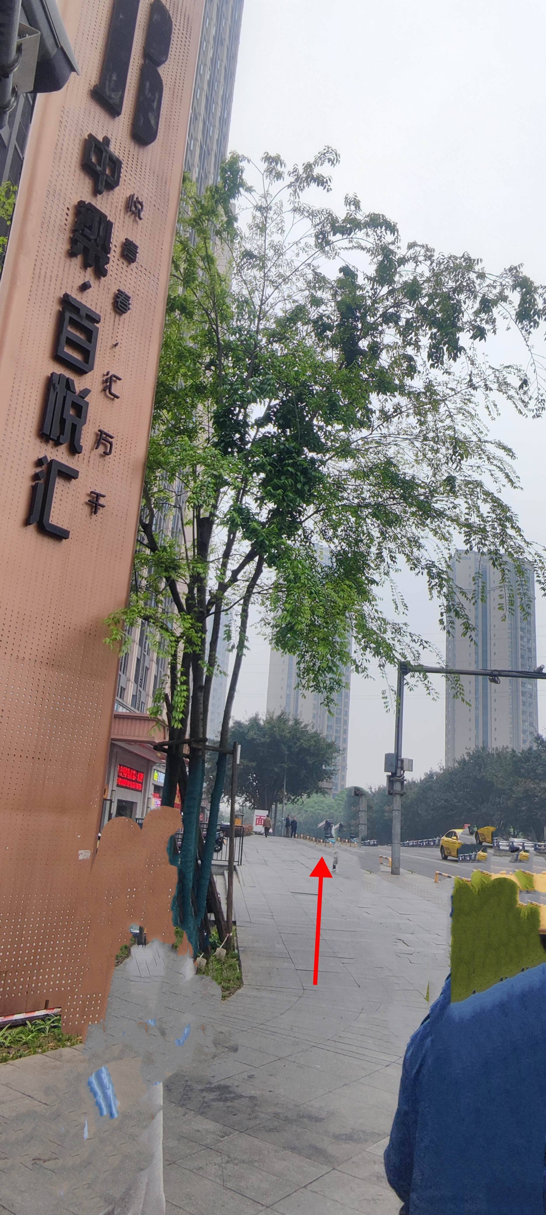 坠入生活的慢节奏