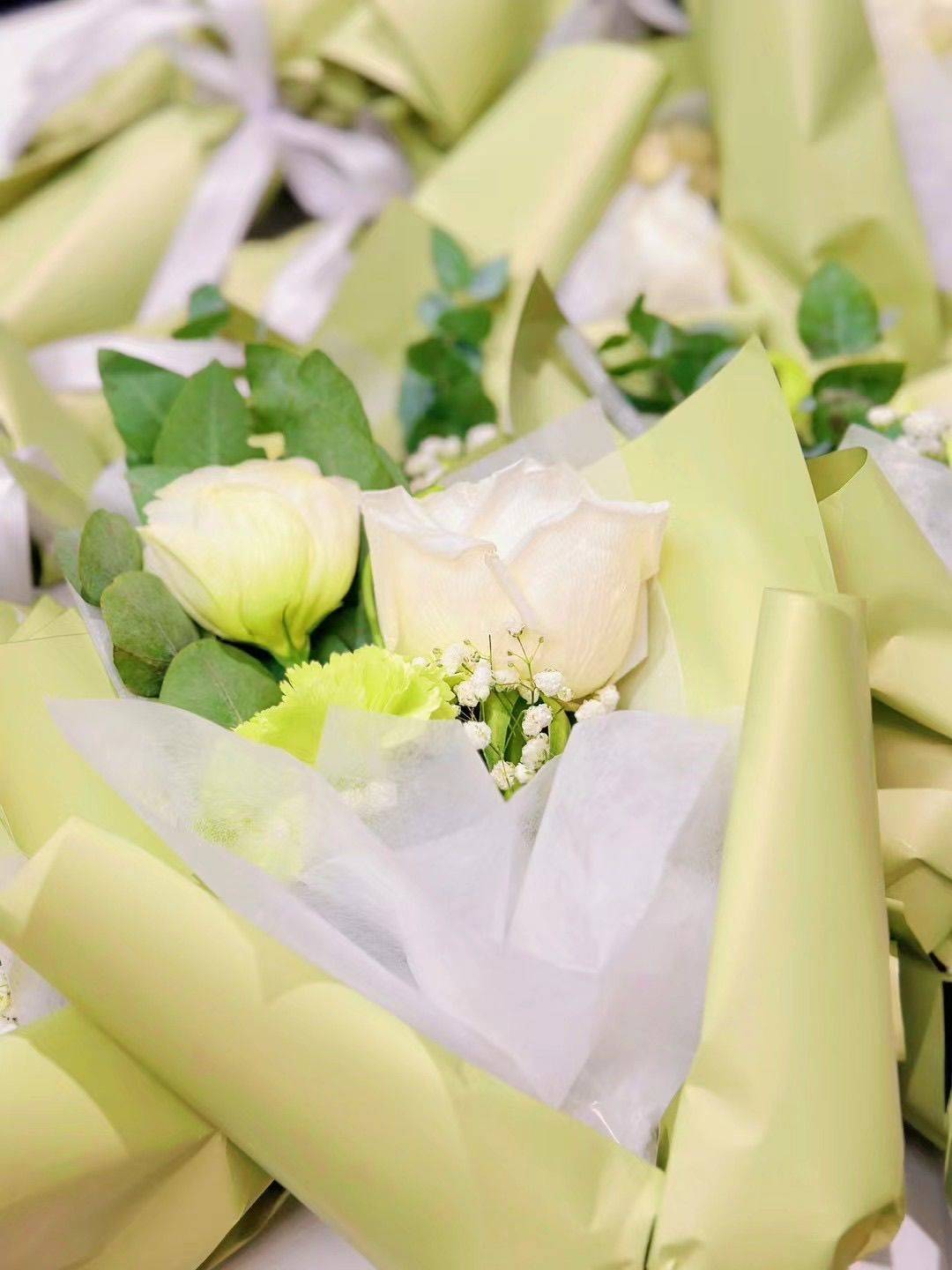 喜欢发呆的小鱼