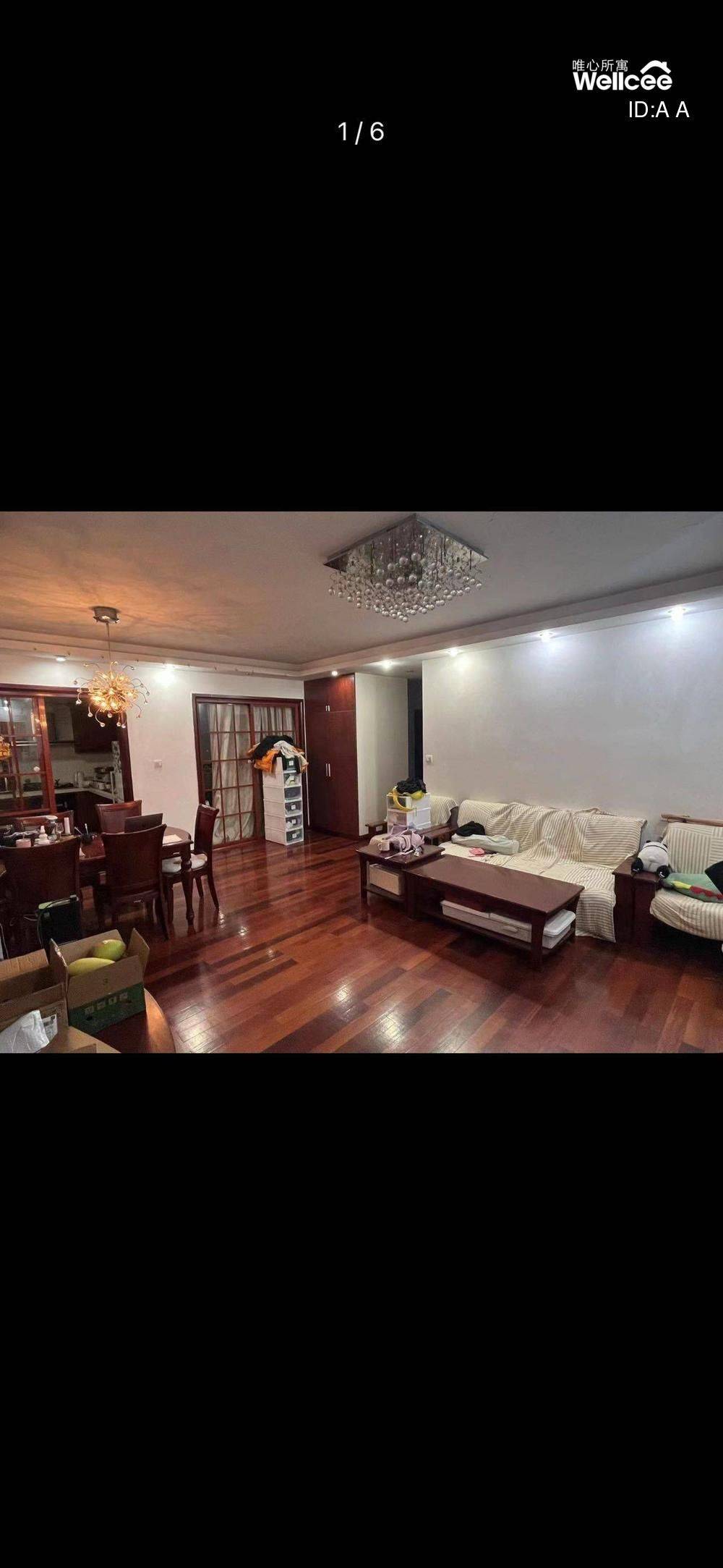 Shanghai-Jing‘An-Cozy Home,Clean&Comfy,No Gender Limit,Pet Friendly