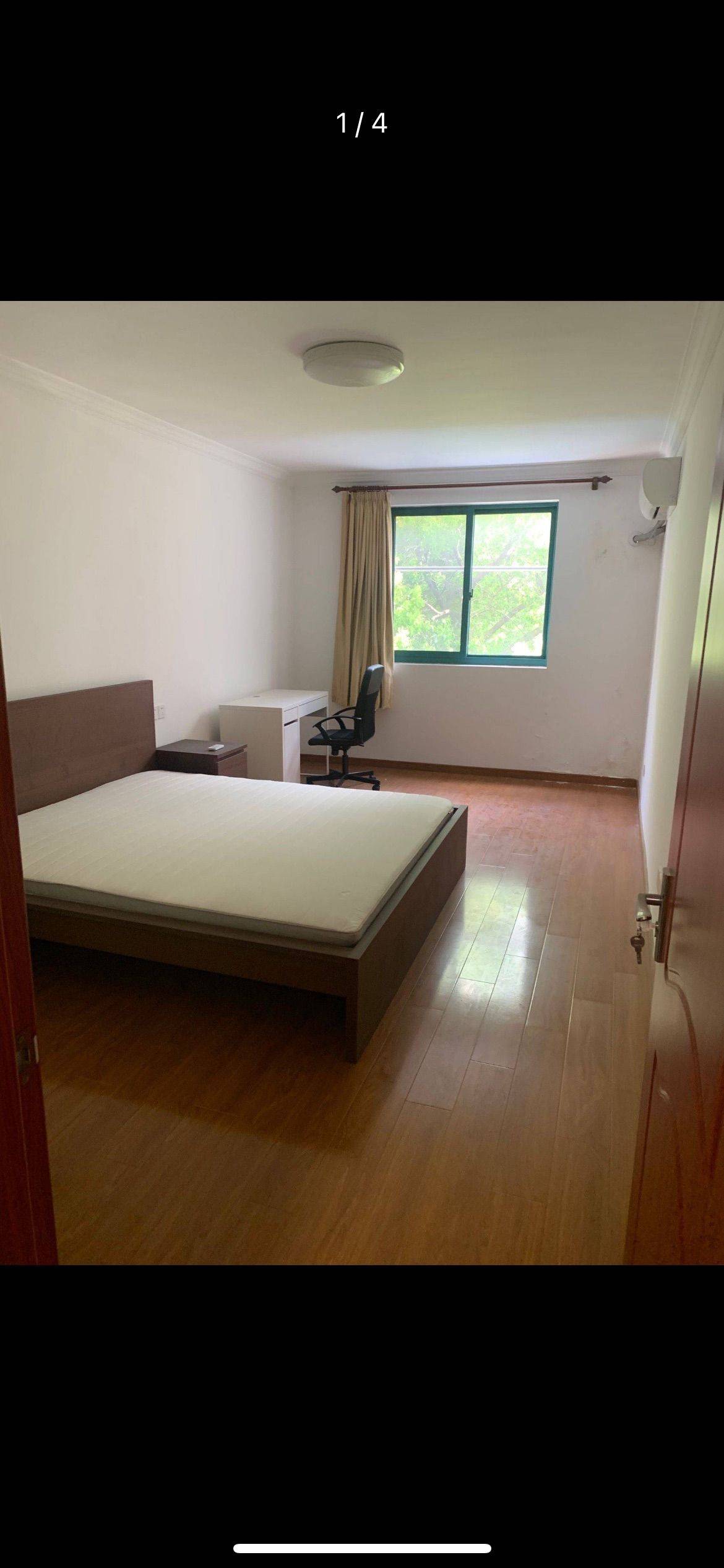 Shanghai-Jing‘An-Pet Friendly