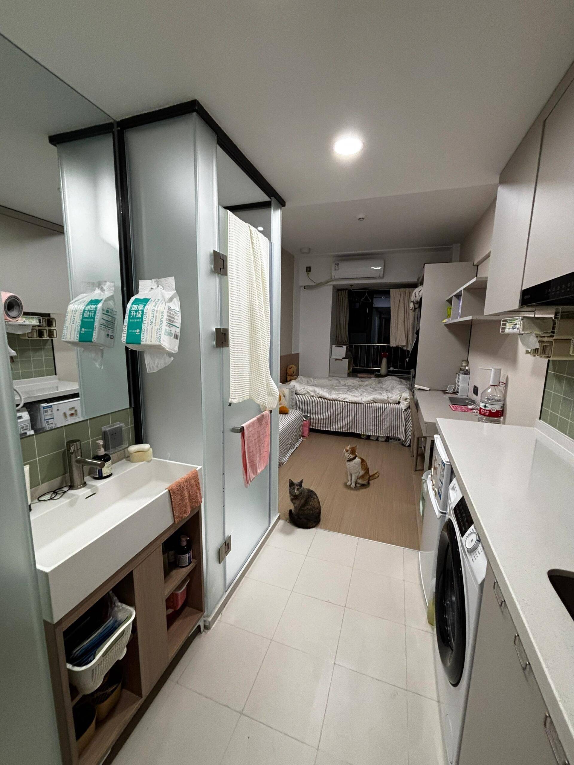 Shanghai-Jing‘An-Cozy Home,Clean&Comfy,Hustle & Bustle,Chilled,Pet Friendly