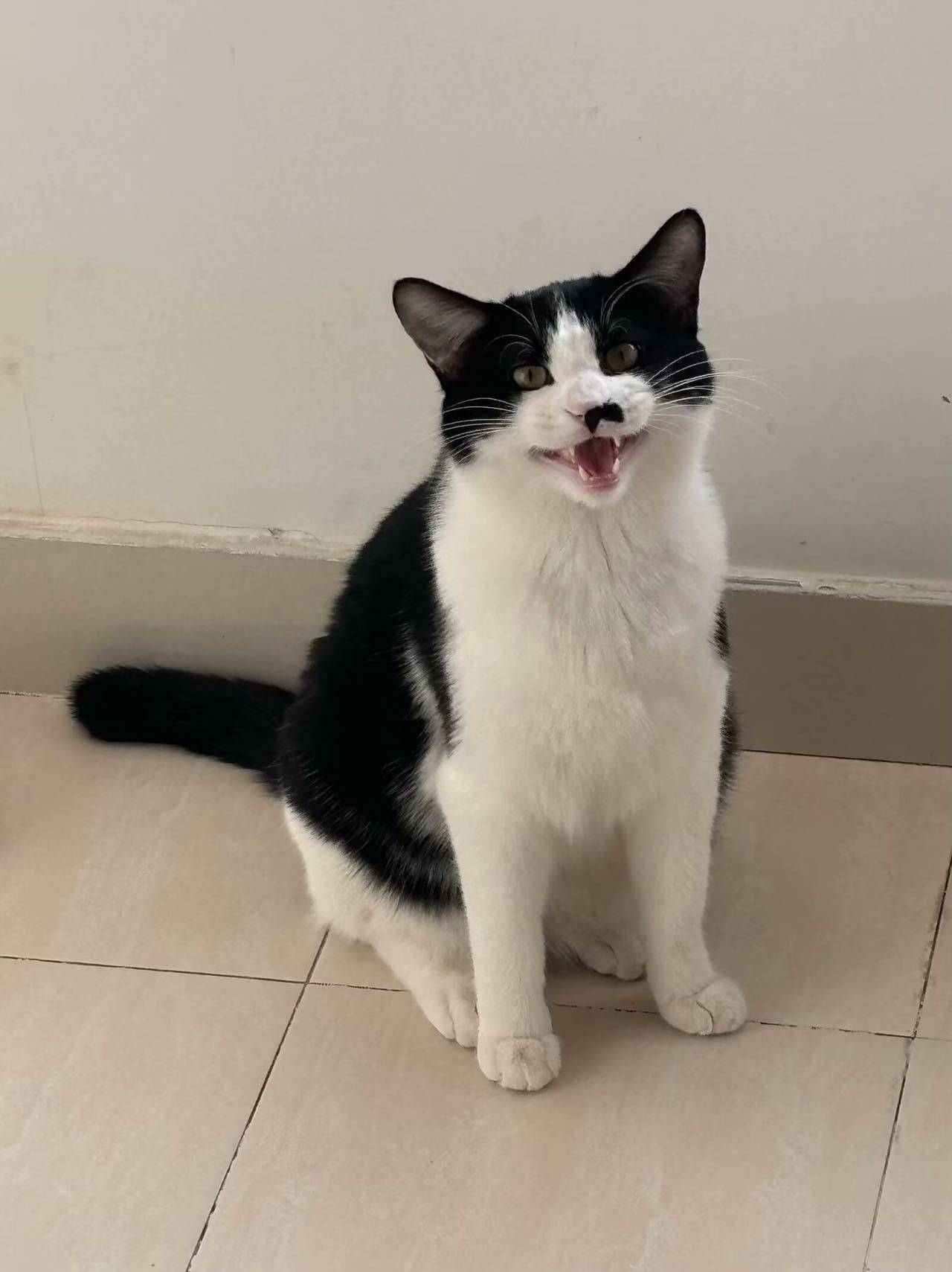 听