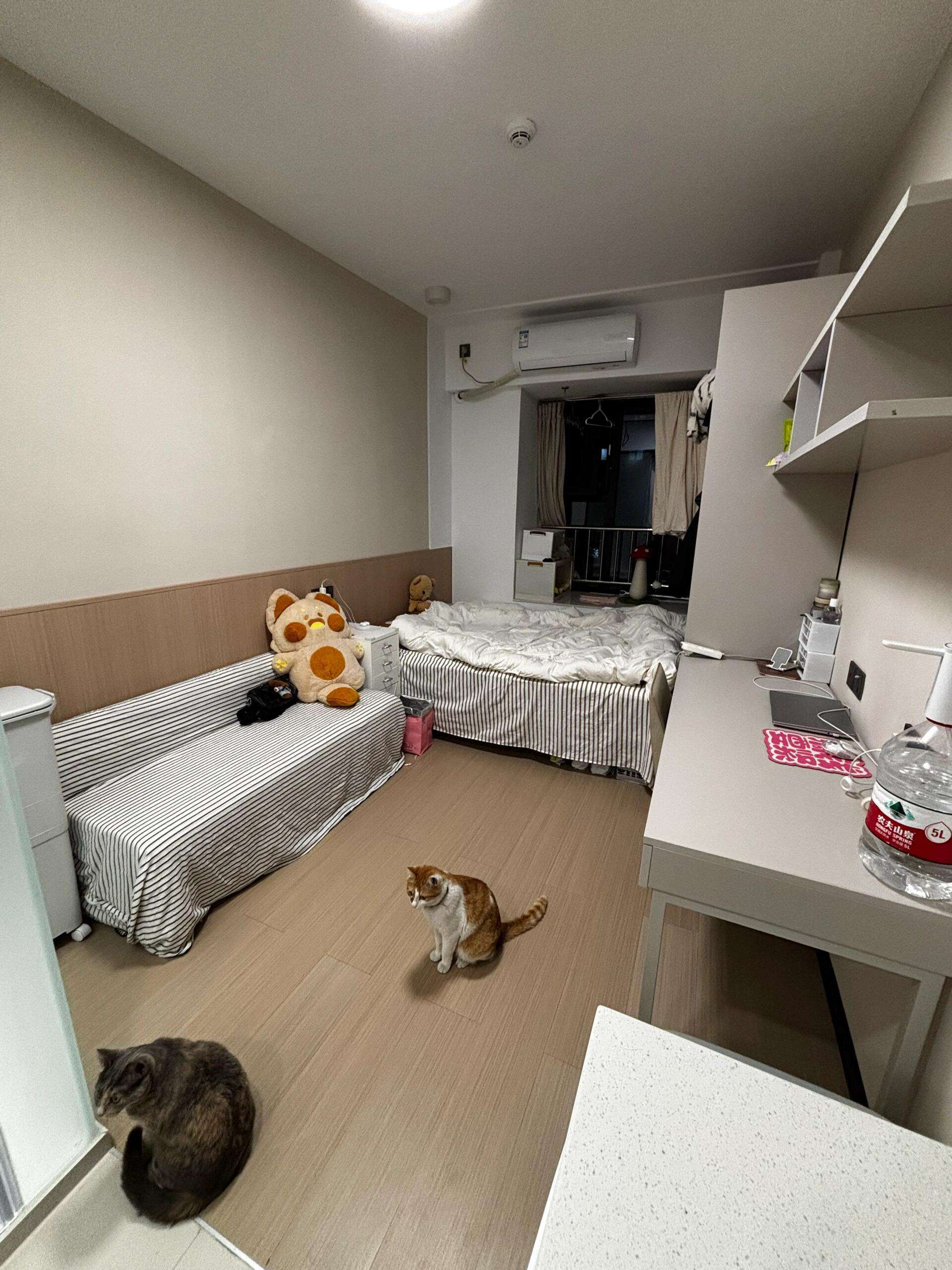 Shanghai-Jing‘An-Cozy Home,Clean&Comfy,Hustle & Bustle,Chilled,Pet Friendly