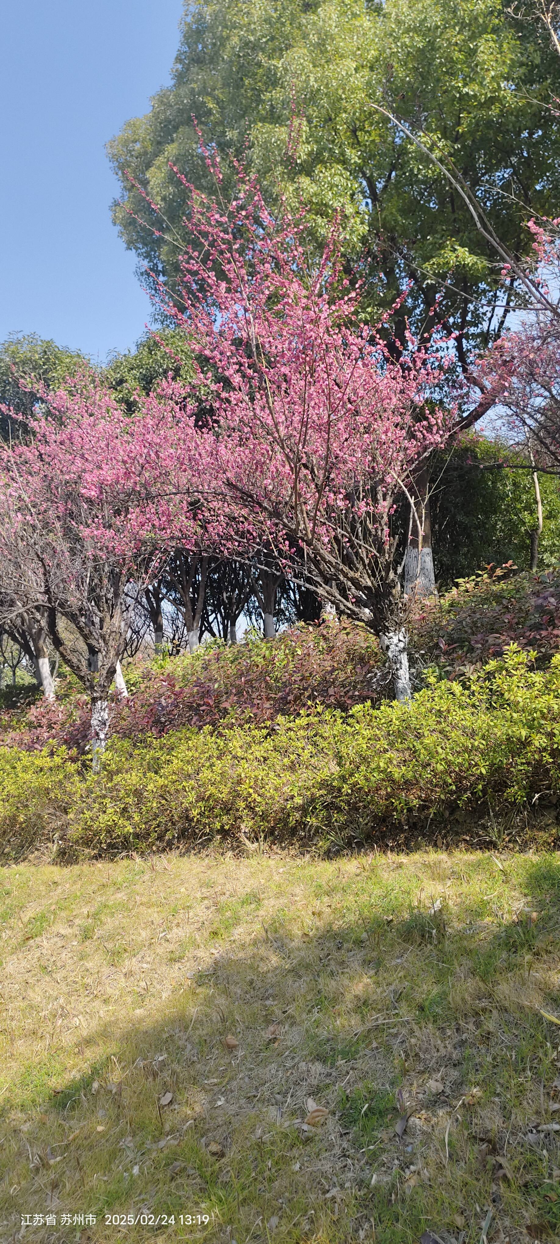 皓月
