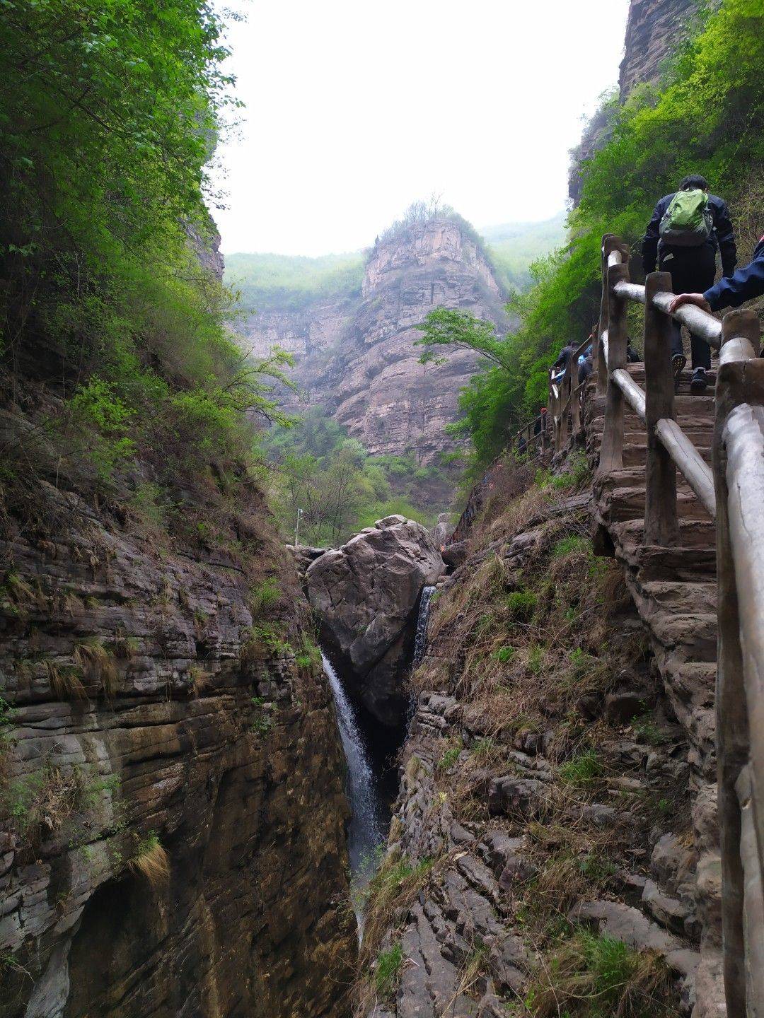life_photo_1