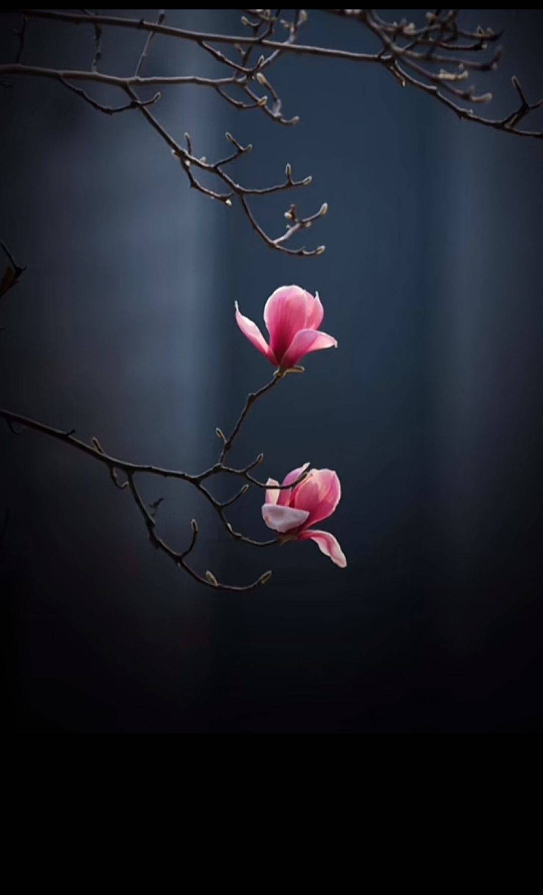 春天