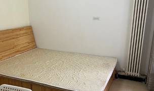 西安-雁塔-200RMB/晚,溫馨小窩,乾淨治愈,市井煙火氣,老友記,寵物友好