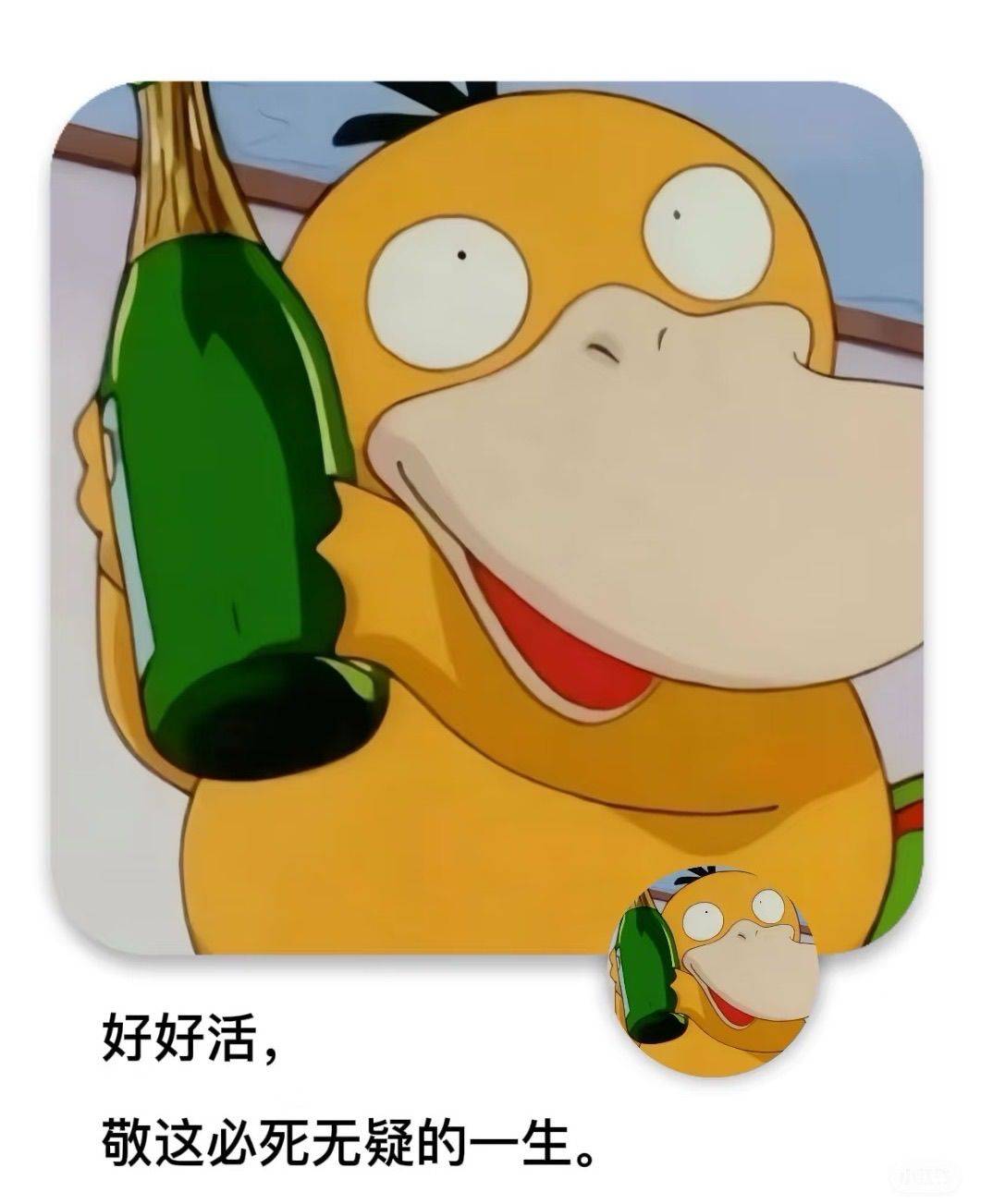 胖胖