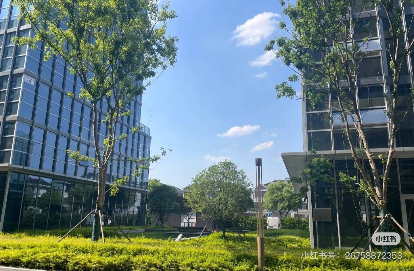Hangzhou-Xiaoshan-Cozy Home,Clean&Comfy,No Gender Limit,Chilled