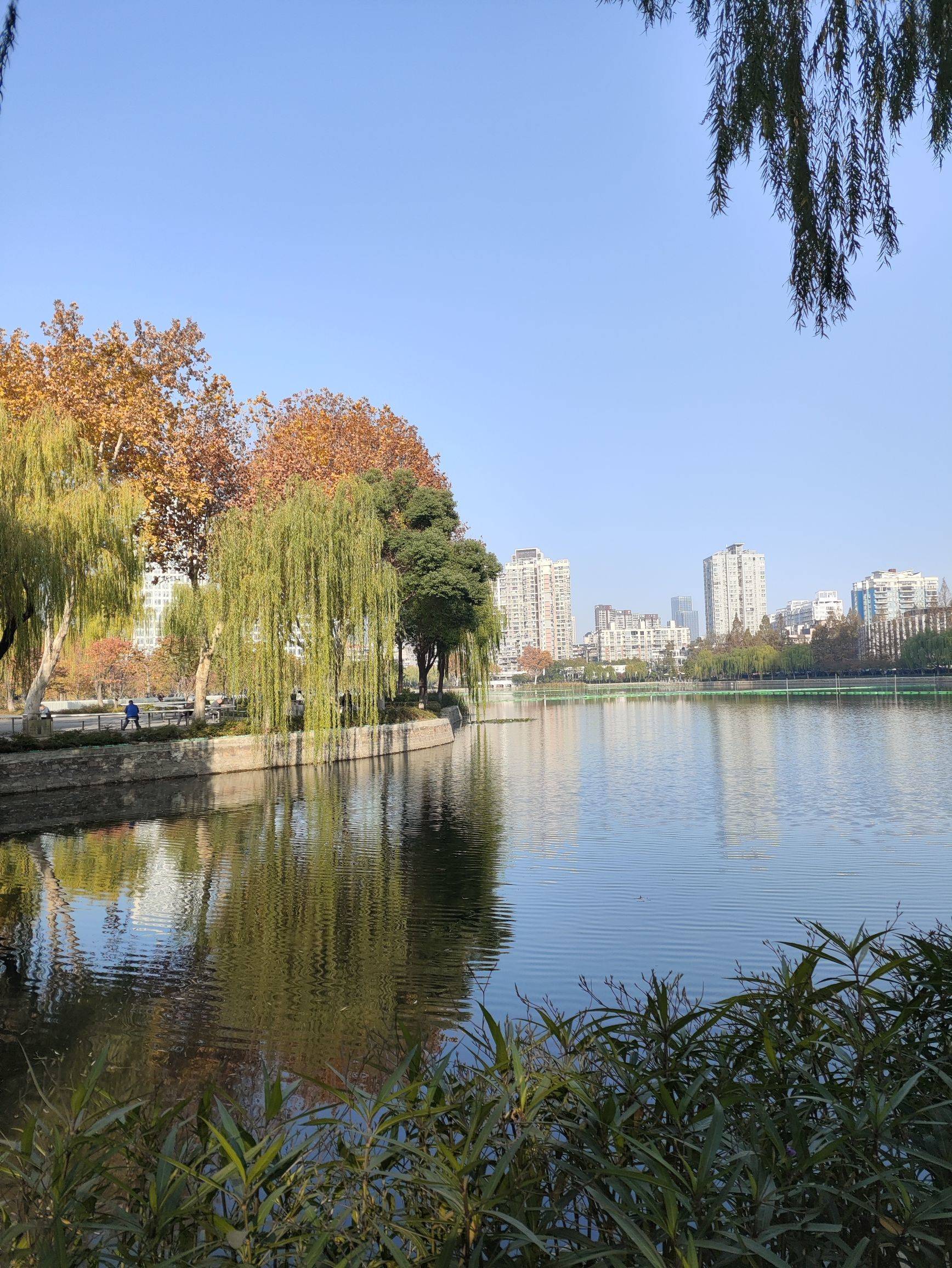 房东本东