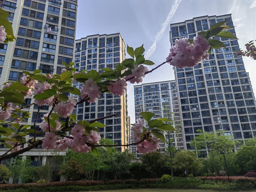 Hangzhou-Shangcheng-Cozy Home,Clean&Comfy,No Gender Limit,Hustle & Bustle,“Friends”,Chilled,LGBTQ Friendly,Pet Friendly