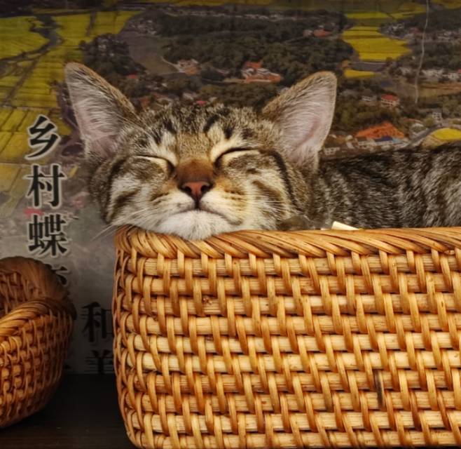 鹿人🦌
