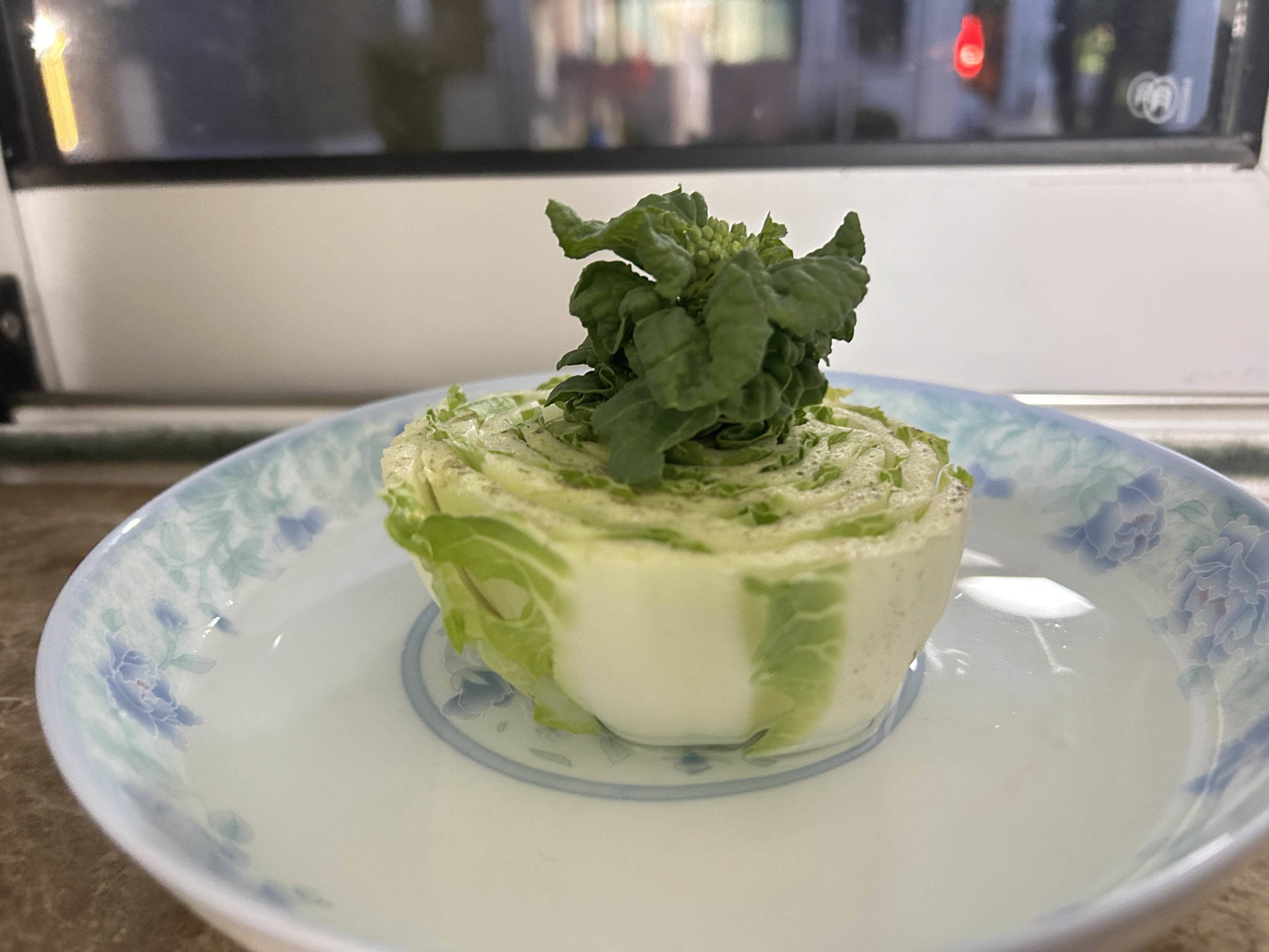 🎋