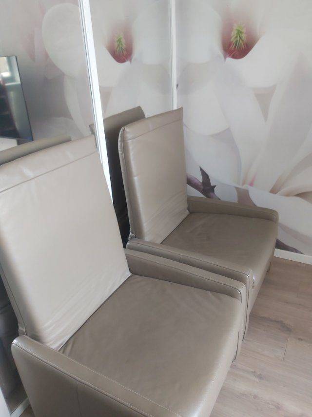 Shanghai-Pudong-Cozy Home,Clean&Comfy,“Friends”,Chilled,Pet Friendly