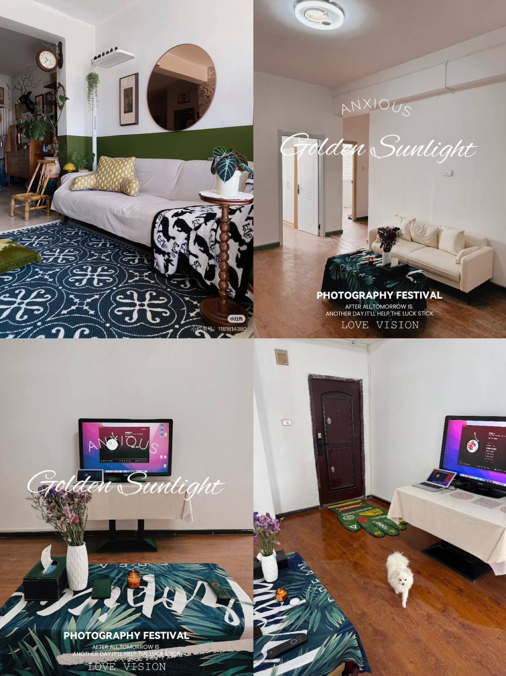 Wuhan-Jianghan-Cozy Home,Clean&Comfy,No Gender Limit,Hustle & Bustle,“Friends”,Chilled,LGBTQ Friendly,Pet Friendly