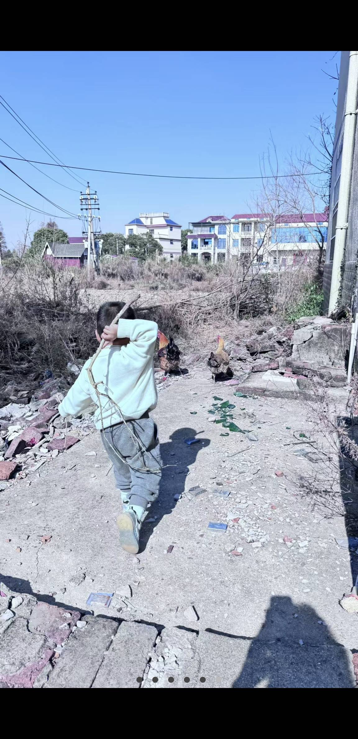情儿