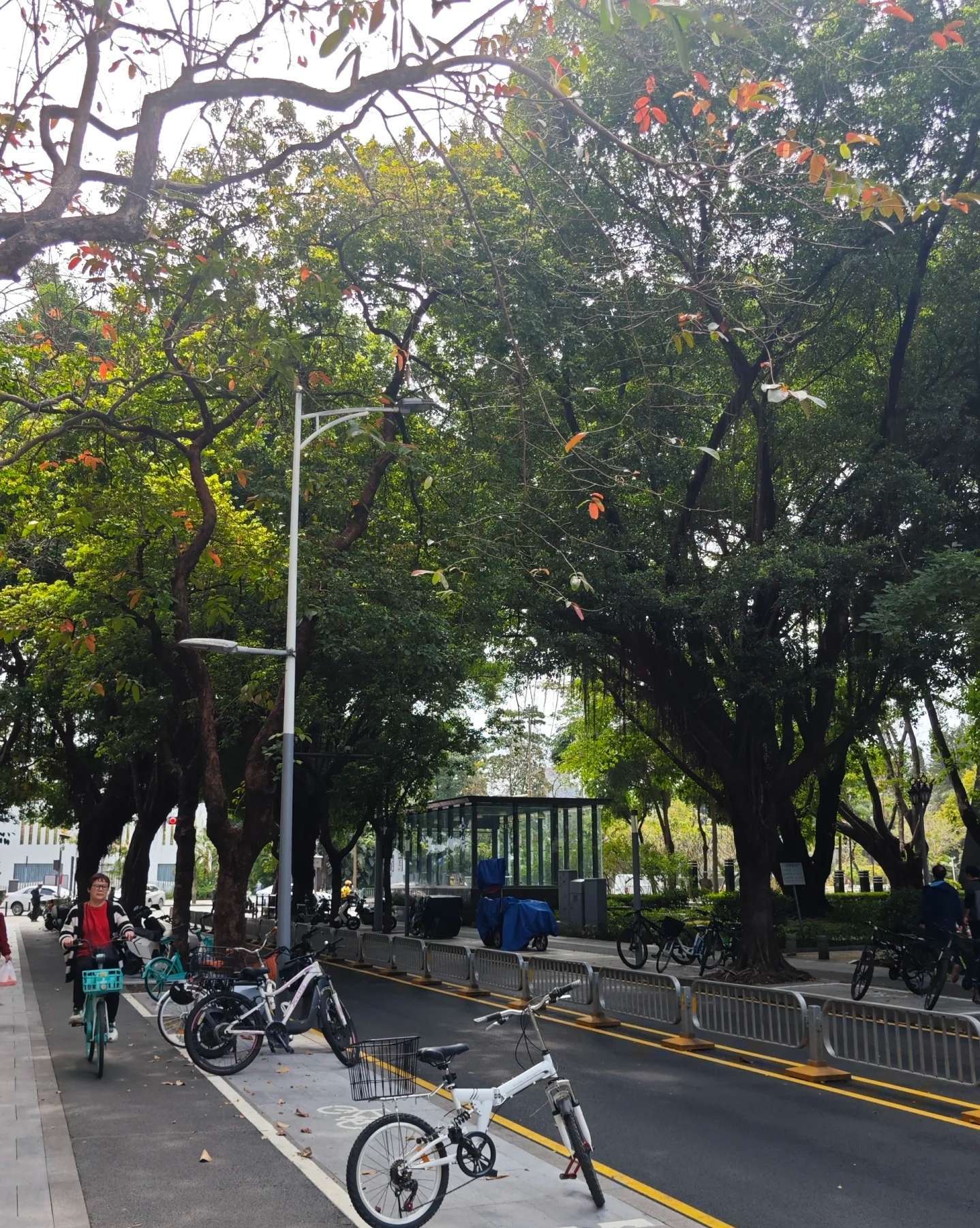 Shenzhen-Futian-Cozy Home,Clean&Comfy,No Gender Limit,Hustle & Bustle,“Friends”,Chilled