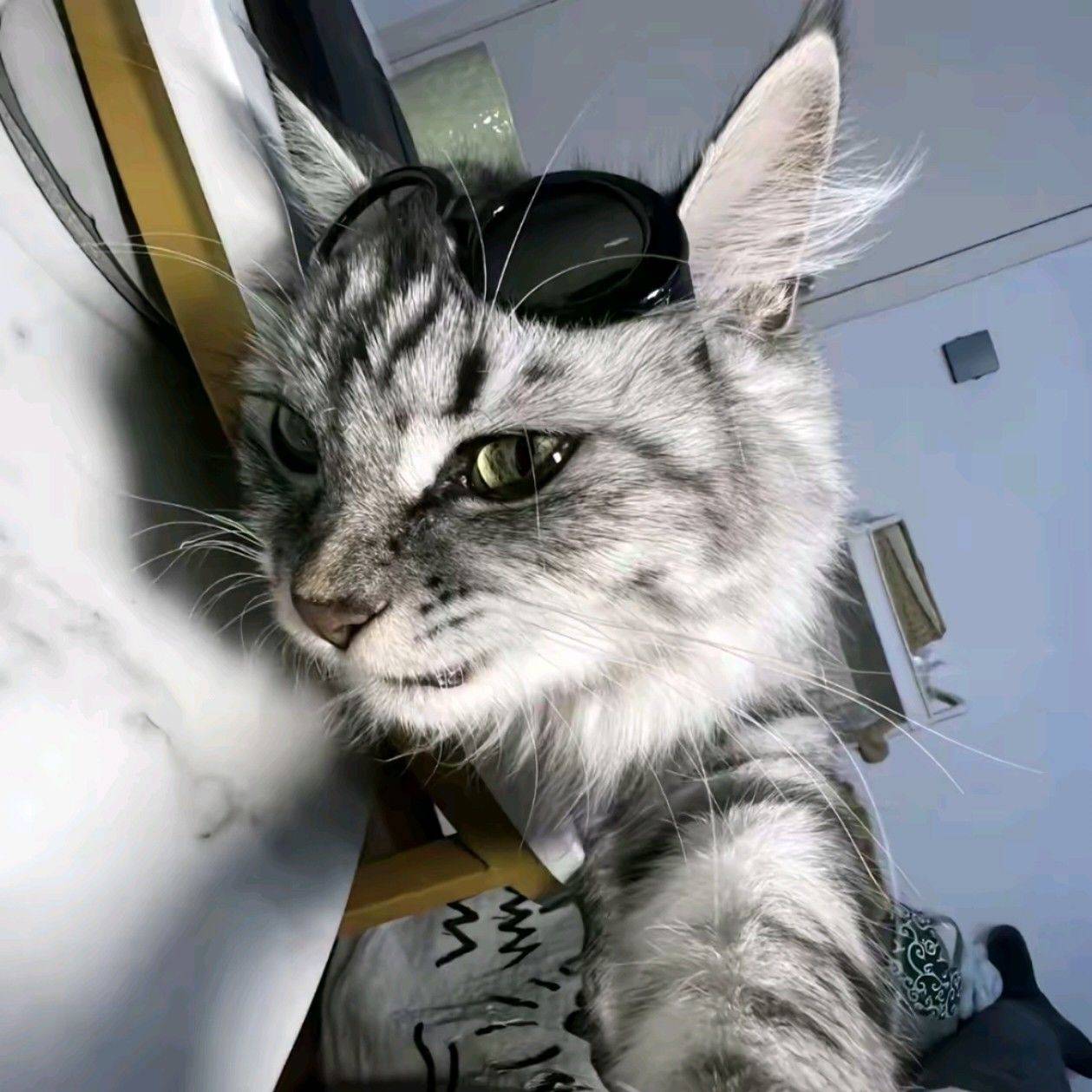 来财