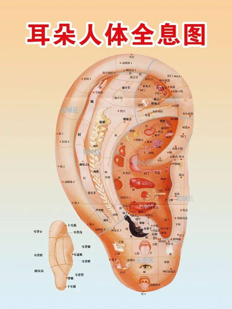 崔老师
