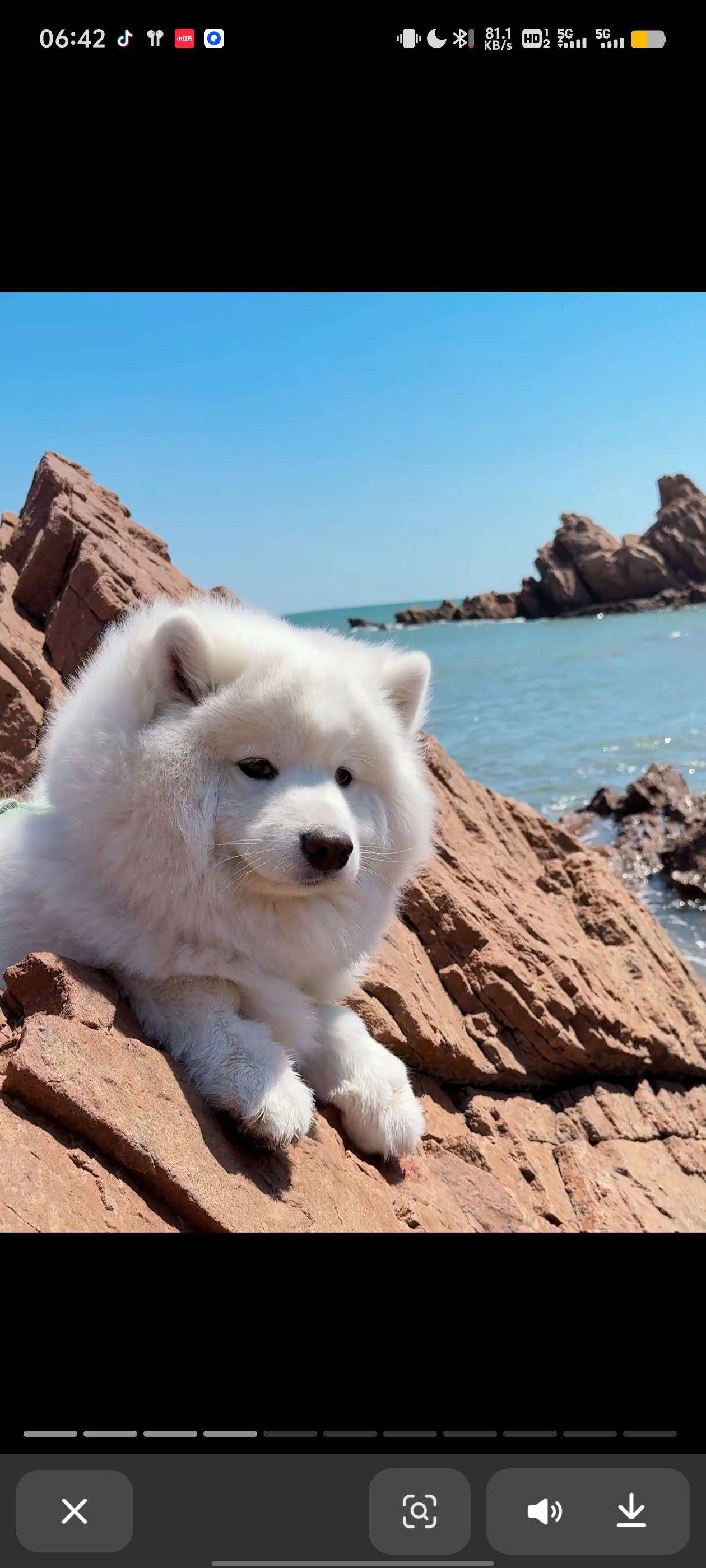 嗷呜
