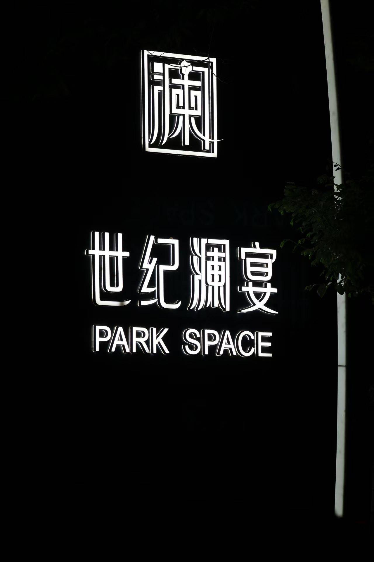 杨扬