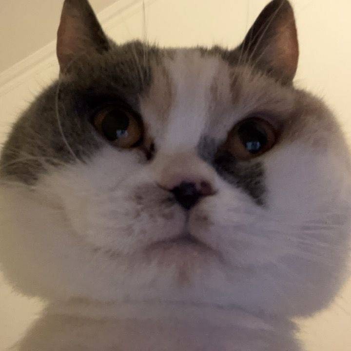 小结巴
