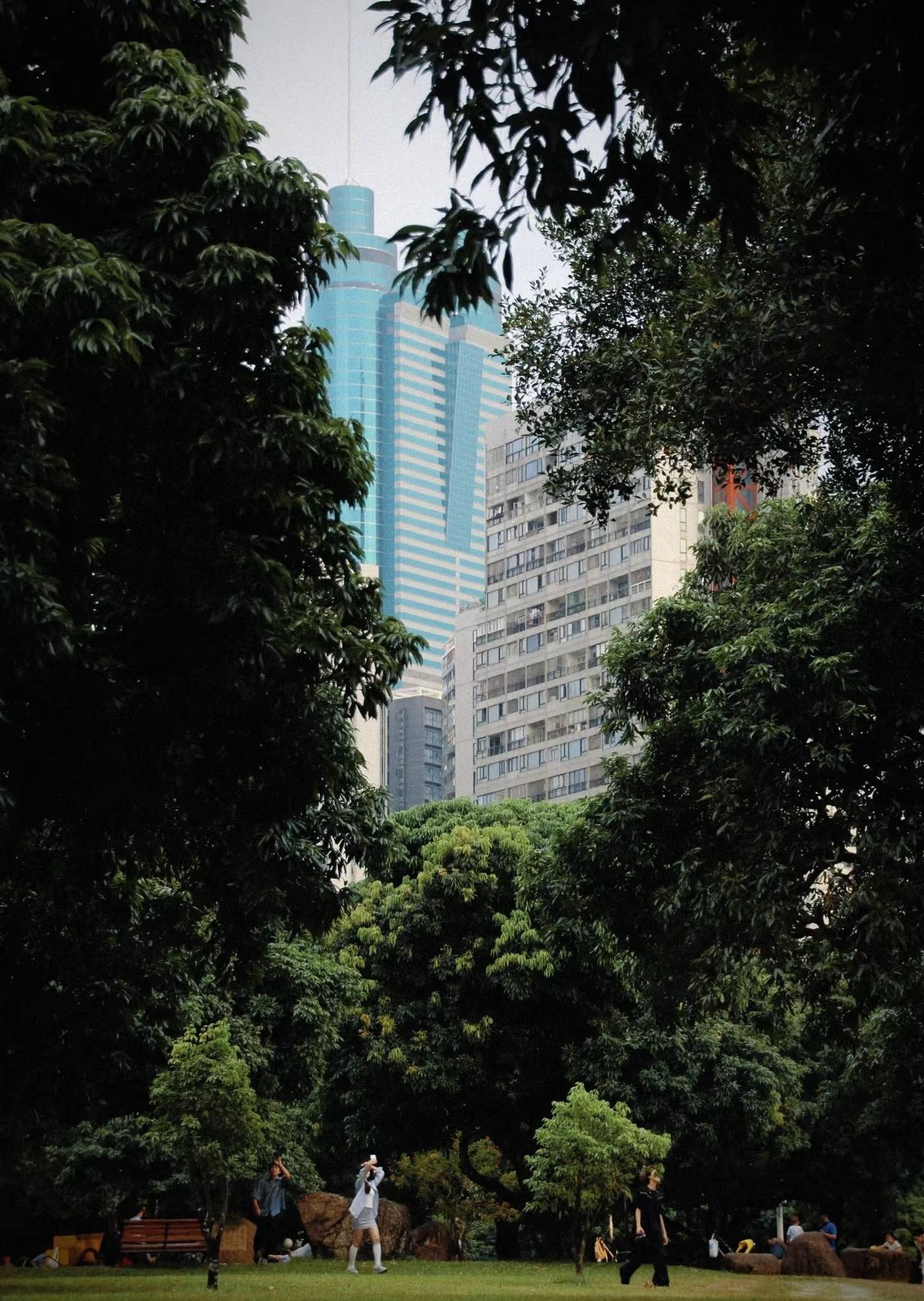 Shenzhen-Futian-Cozy Home,Clean&Comfy,No Gender Limit,Hustle & Bustle,“Friends”,Chilled