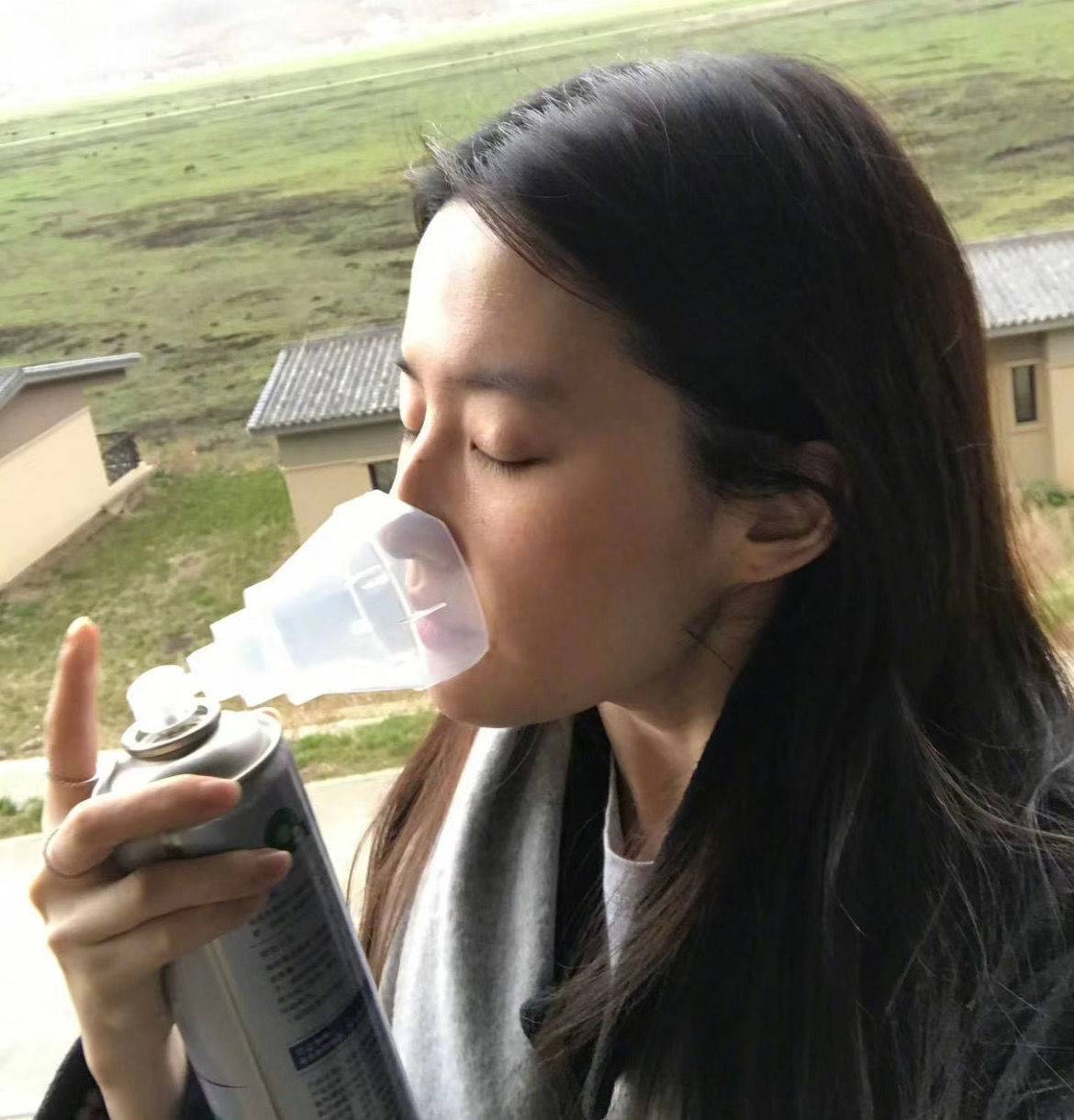 半枝桃