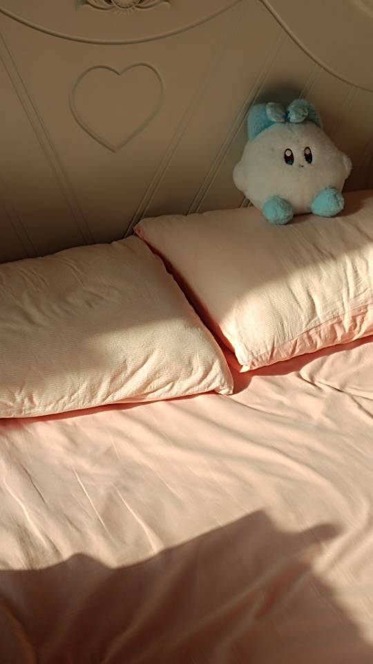 Changsha-Yuelu-Cozy Home,Clean&Comfy,No Gender Limit,LGBTQ Friendly,Pet Friendly