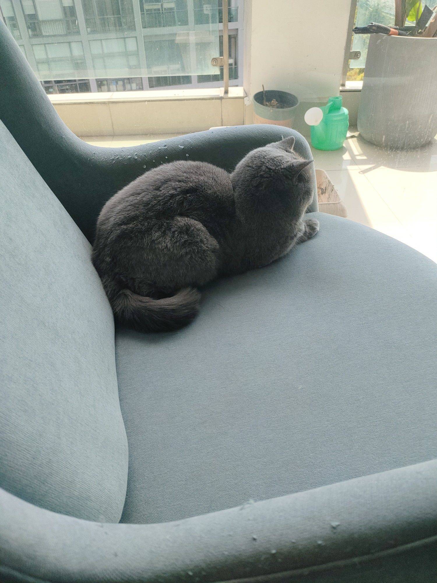 疯狂的石头