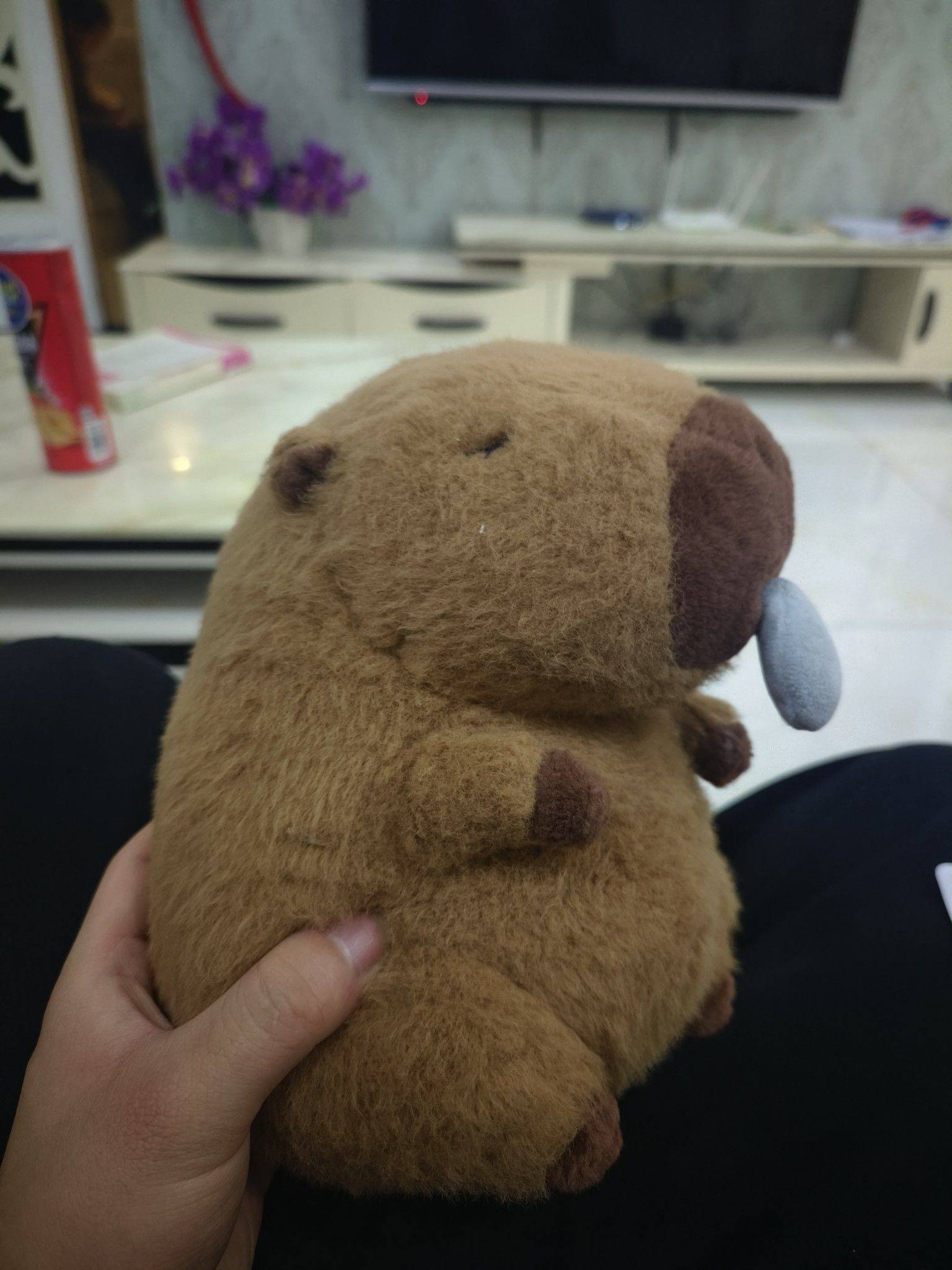 眠意寄风