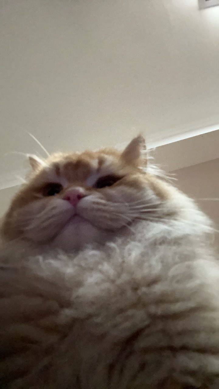 两三