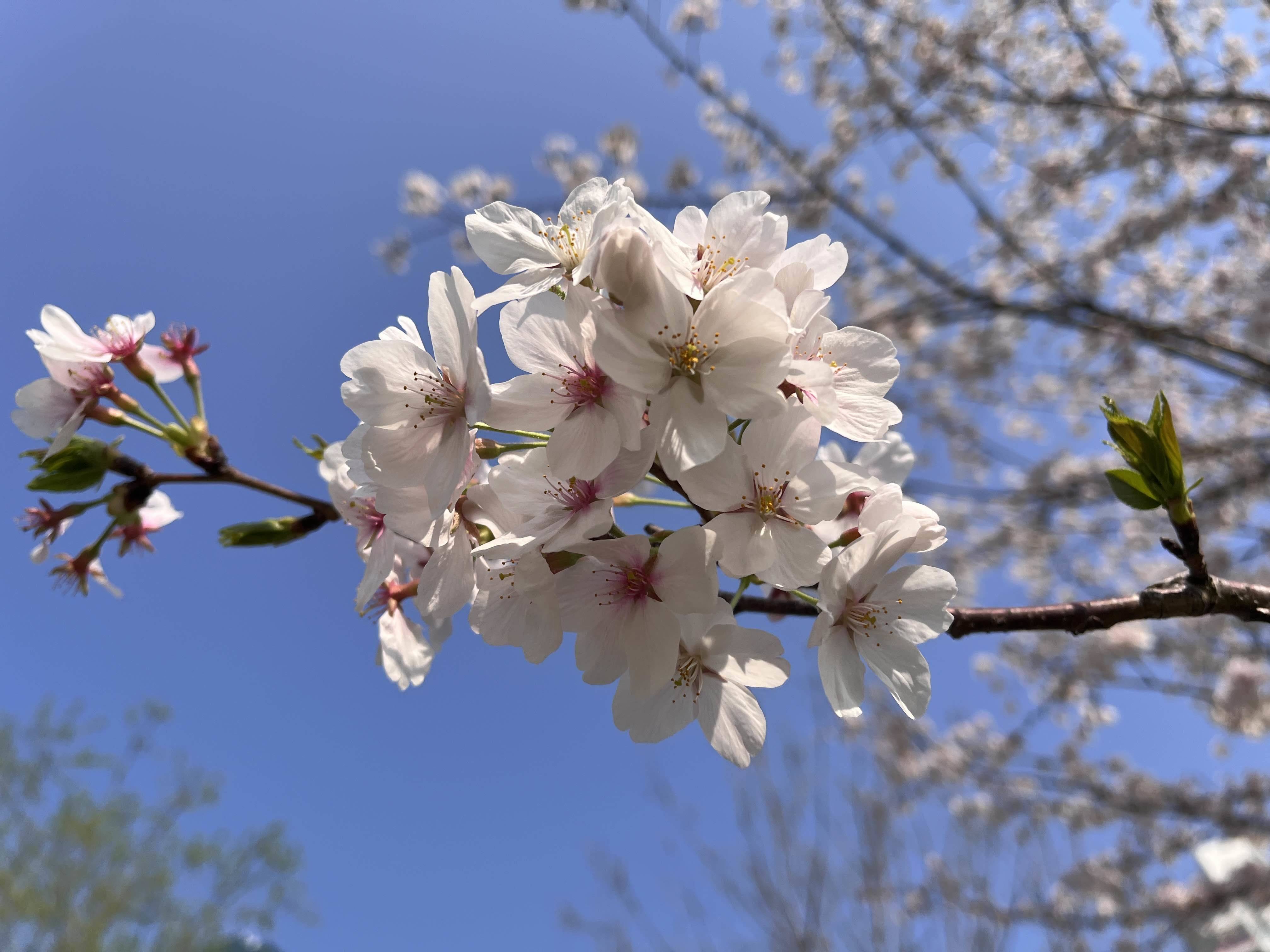 小卷毛👩‍🦱