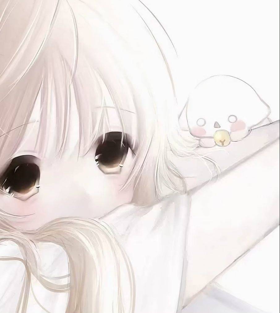 ¥