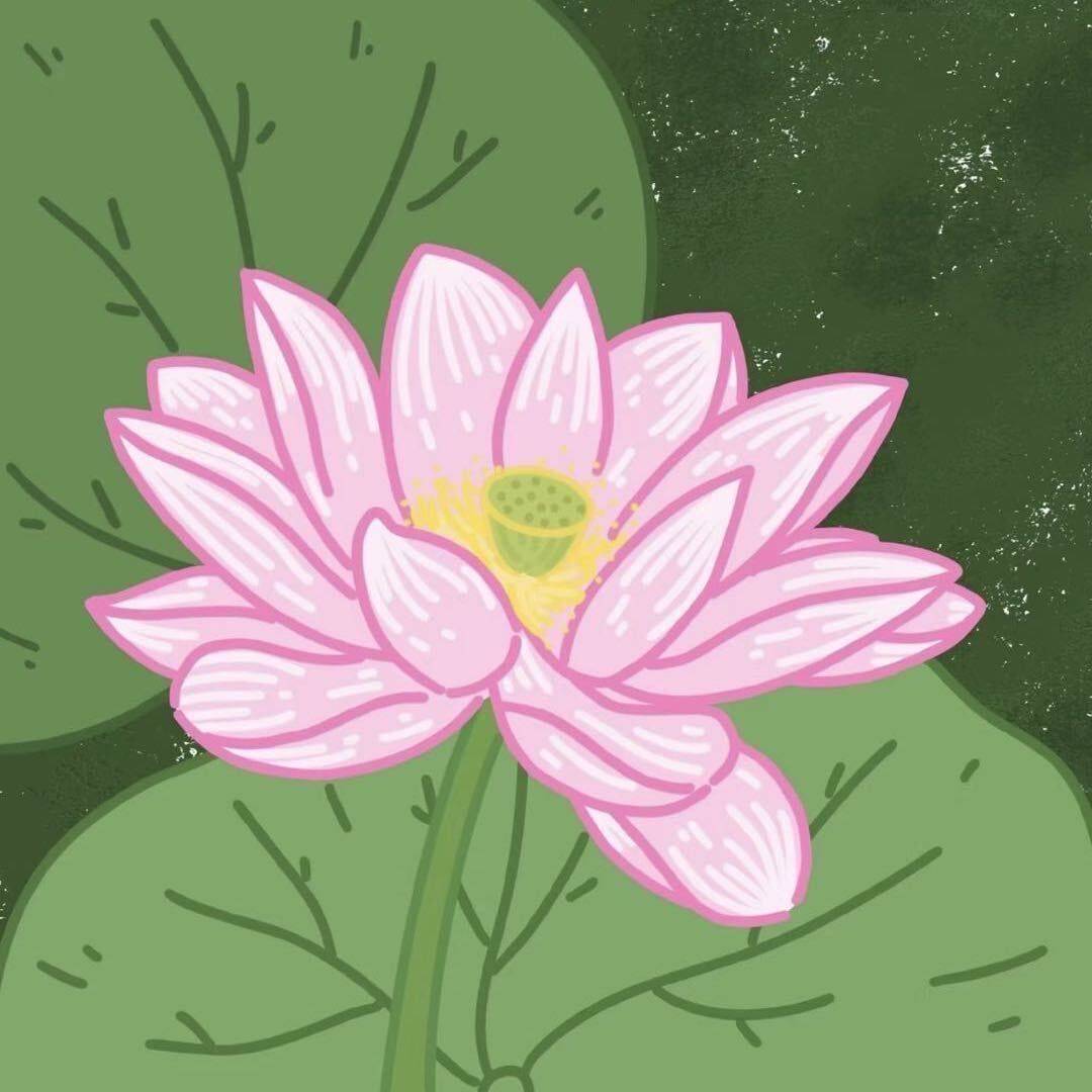 岁月静好