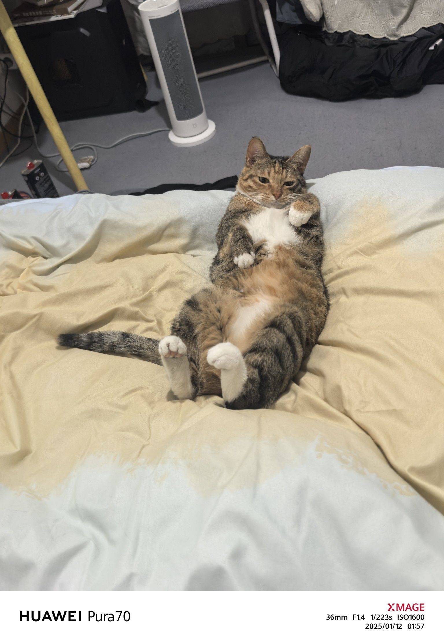 李